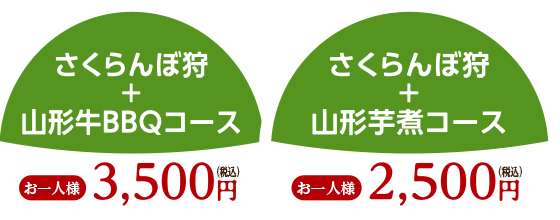 さくらんぼ狩+山形牛BBQコースはお一人様3,500円(税込み)、さくらんぼ狩+山形芋煮コースはお一人様2,500円(税込み)