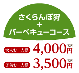 さくらんぼ狩バーベキューコース 大人お一人様4,000円(税込み) 子供お一人様3,500円(税込み)